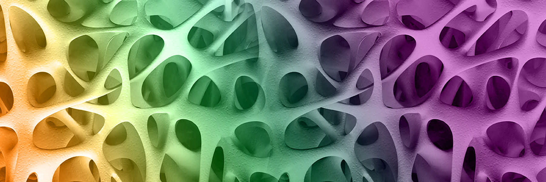 Acqua Alcalina Ionizzata a Basso Residuo Fisso e Osteoporosi