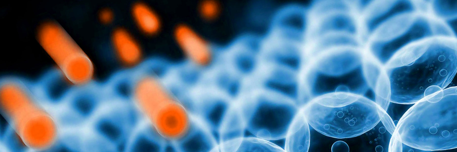 L’Effetto Antiossidante  dell’Acqua Alcalina Ionizzata a Basso Residuo Fisso